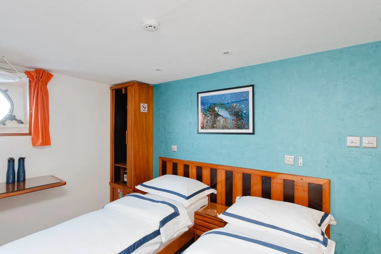 Lower Main Deck - image Lower Main Deck - image