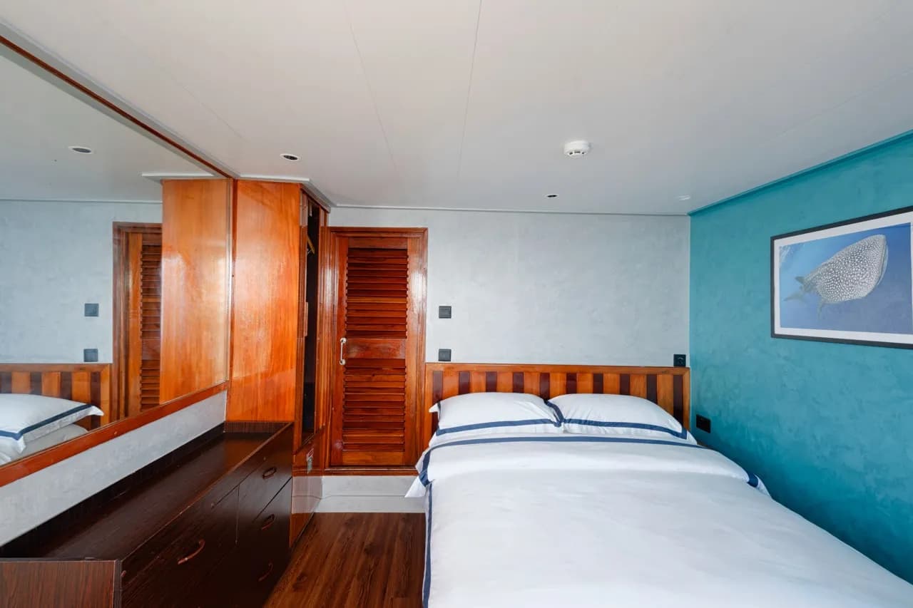 Bridge Deck - image Bridge Deck - image