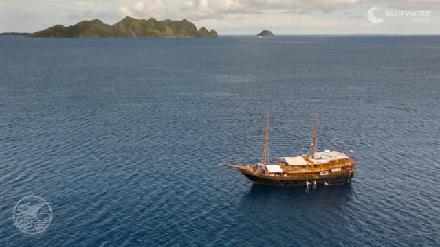 Raja Ampat Trip Report 2026 Raja Ampat Trip Report 2026