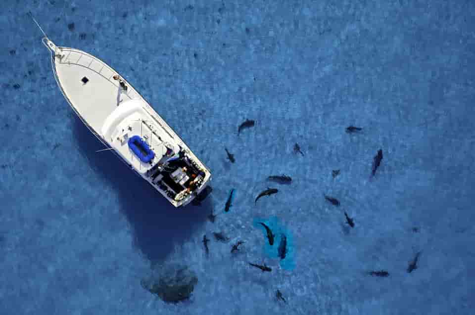 Thumbnail 1 Thumbnail 1