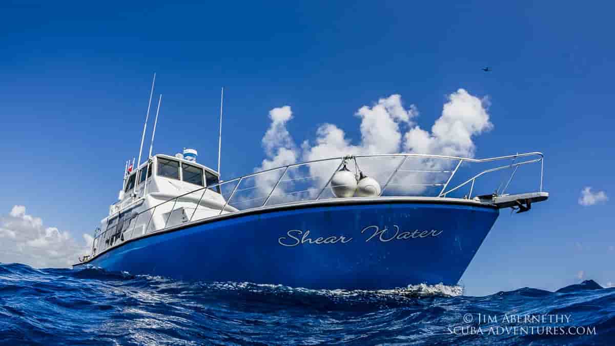 Thumbnail 5 Thumbnail 5