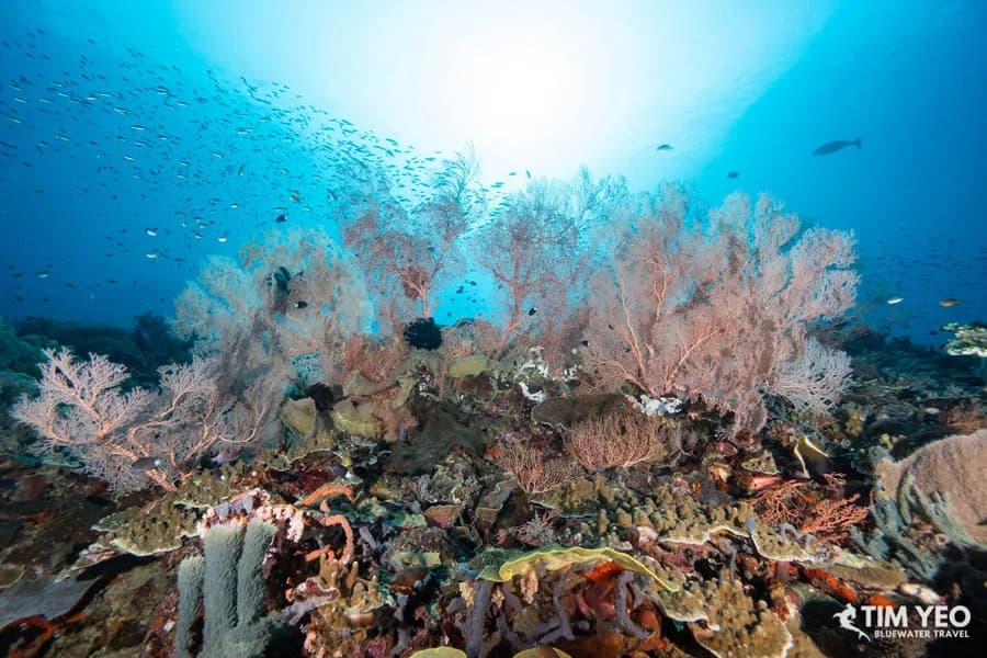 Carousel - image Carousel - image