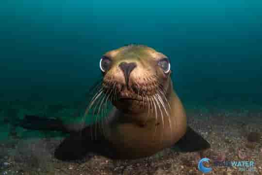 Thumbnail 1 Thumbnail 1