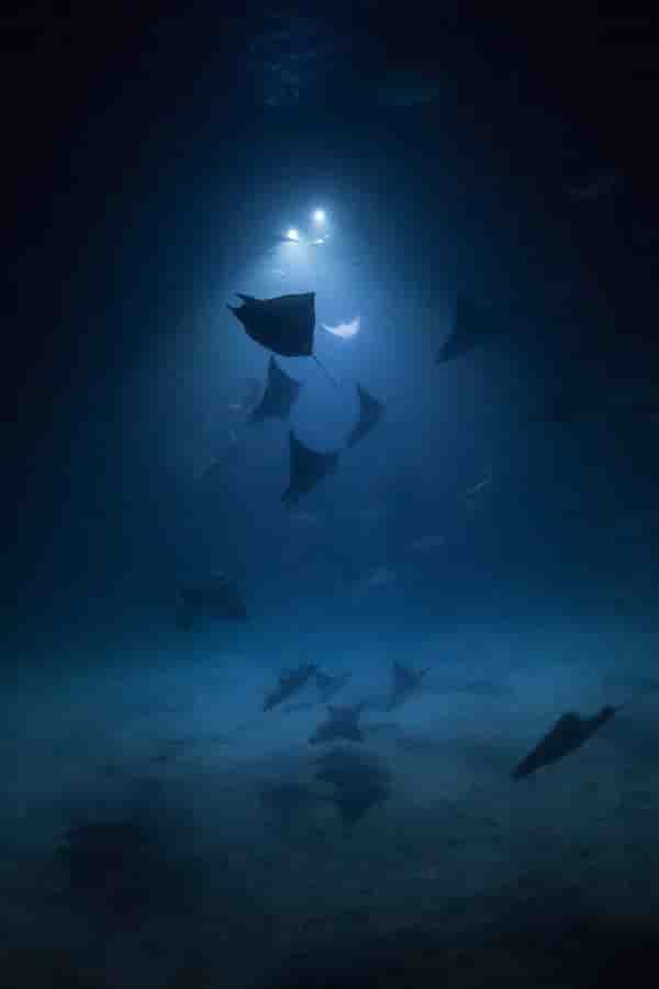 Thumbnail 5 Thumbnail 5