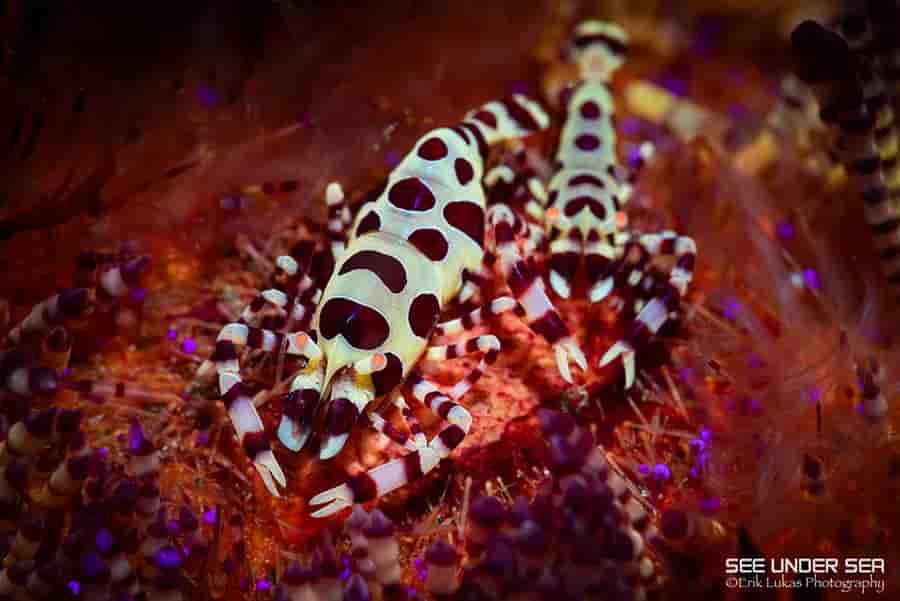 Thumbnail 4 Thumbnail 4