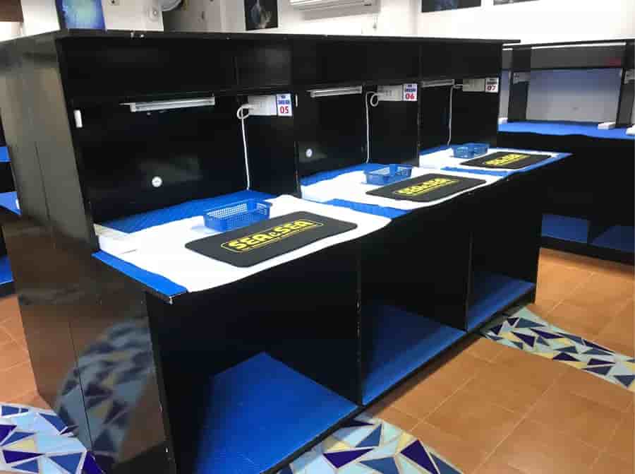 Thumbnail 11 Thumbnail 11