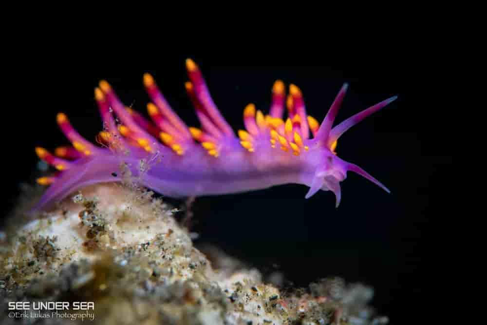 Thumbnail 5 Thumbnail 5