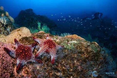 Carousel - image Carousel - image