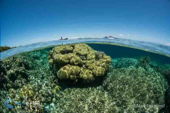 Thumbnail 1 Thumbnail 1