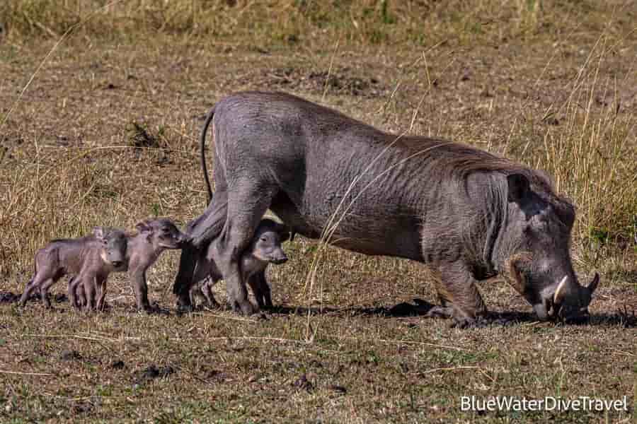 Thumbnail 3 Thumbnail 3