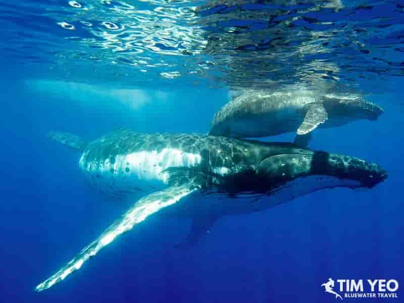 Thumbnail 3 Thumbnail 3