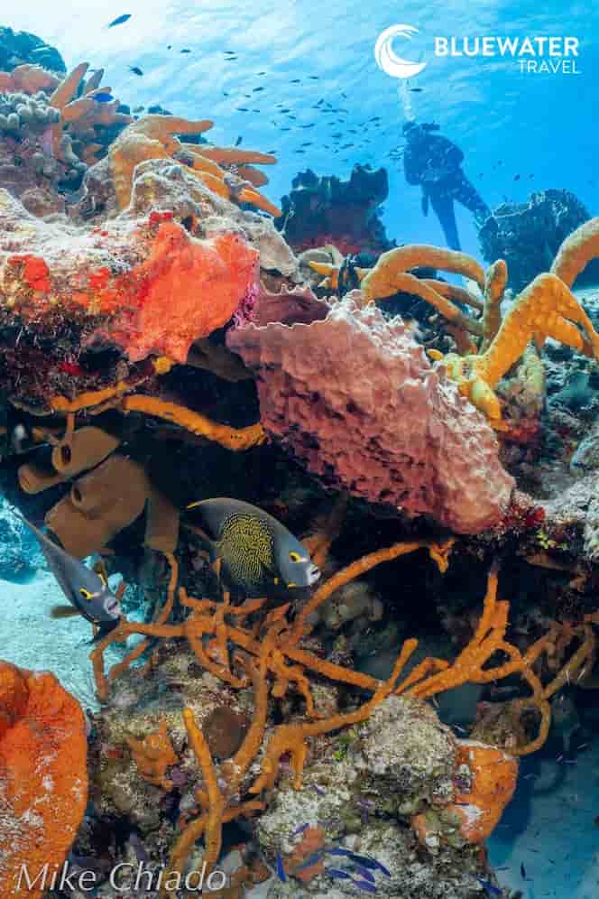 Thumbnail 2 Thumbnail 2