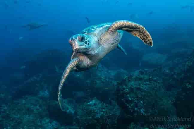 Thumbnail 6 Thumbnail 6