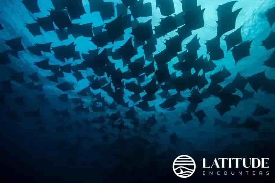 Thumbnail 5 Thumbnail 5