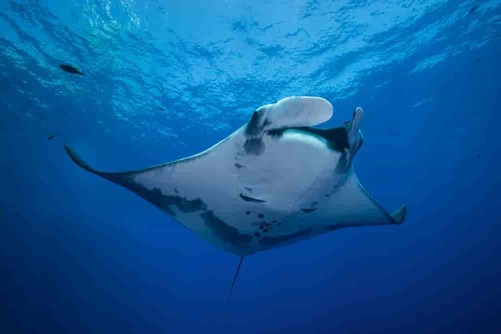 Thumbnail 1 Thumbnail 1