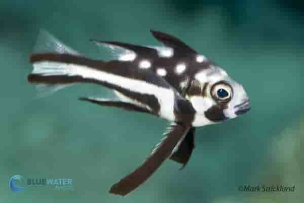 Thumbnail 3 Thumbnail 3