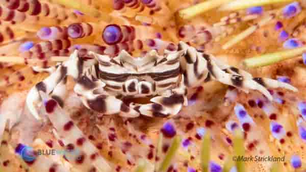 Thumbnail 4 Thumbnail 4