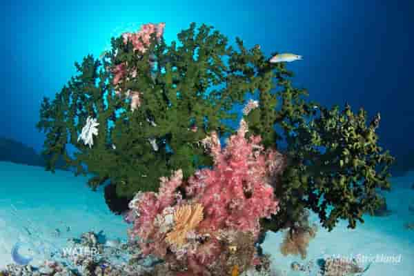 Thumbnail 5 Thumbnail 5