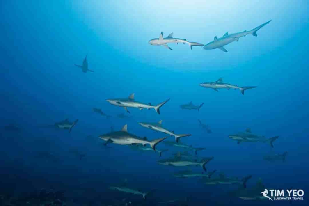 Thumbnail 1 Thumbnail 1