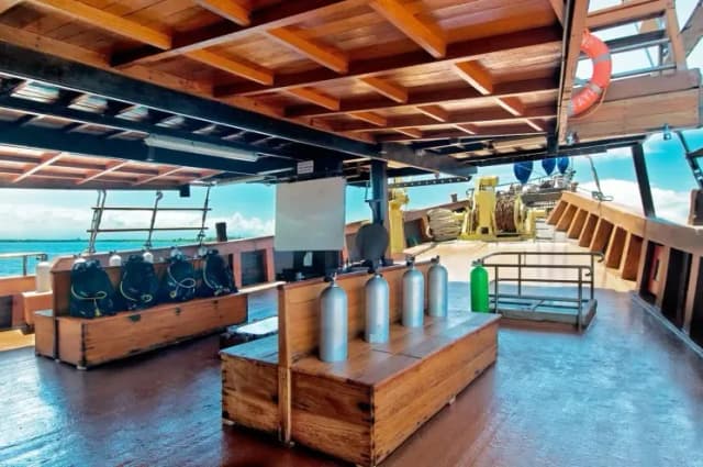 Sea Safari VI Sea Safari VI