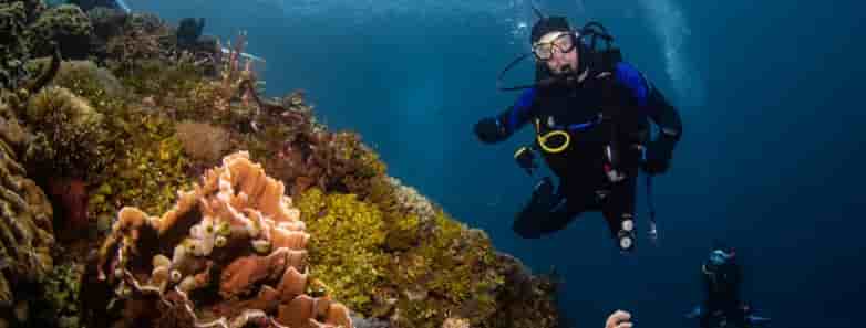 Thumbnail 9 Thumbnail 9