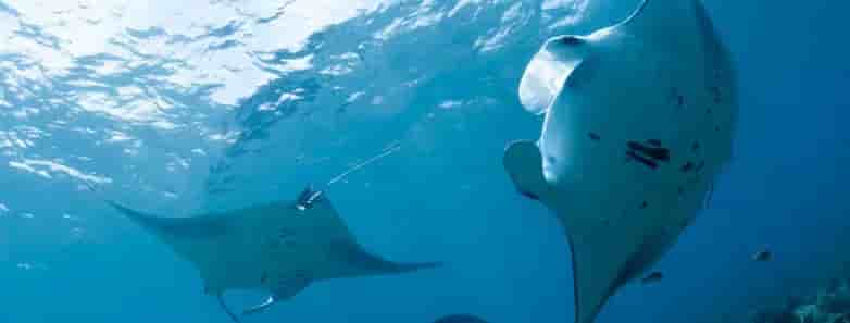 Thumbnail 10 Thumbnail 10