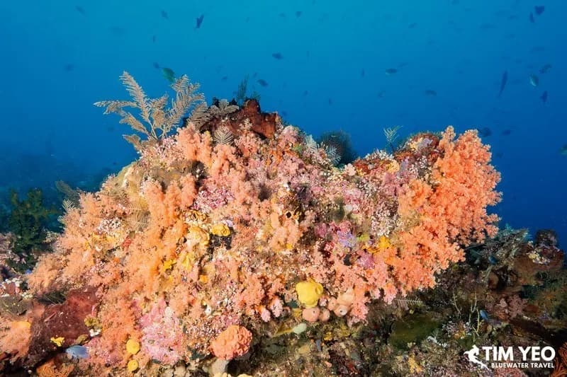 Raja Ampat Raja Ampat