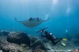 No alternative text provided No alternative text provided