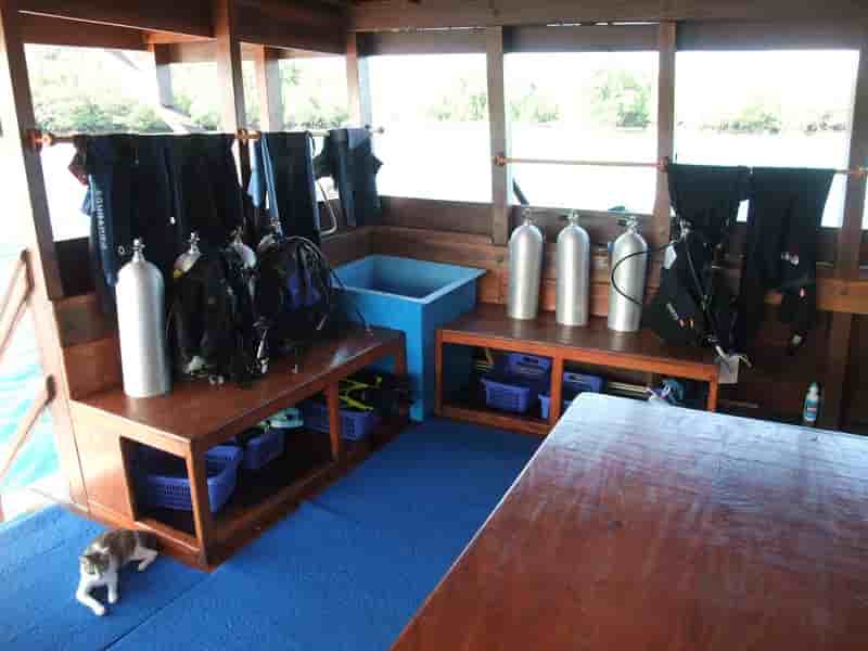 Thumbnail 9 Thumbnail 9