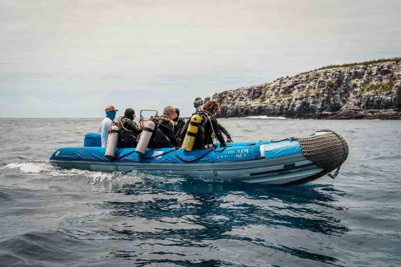 Thumbnail 3 Thumbnail 3