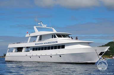 Roatan Aggressor Roatan Aggressor