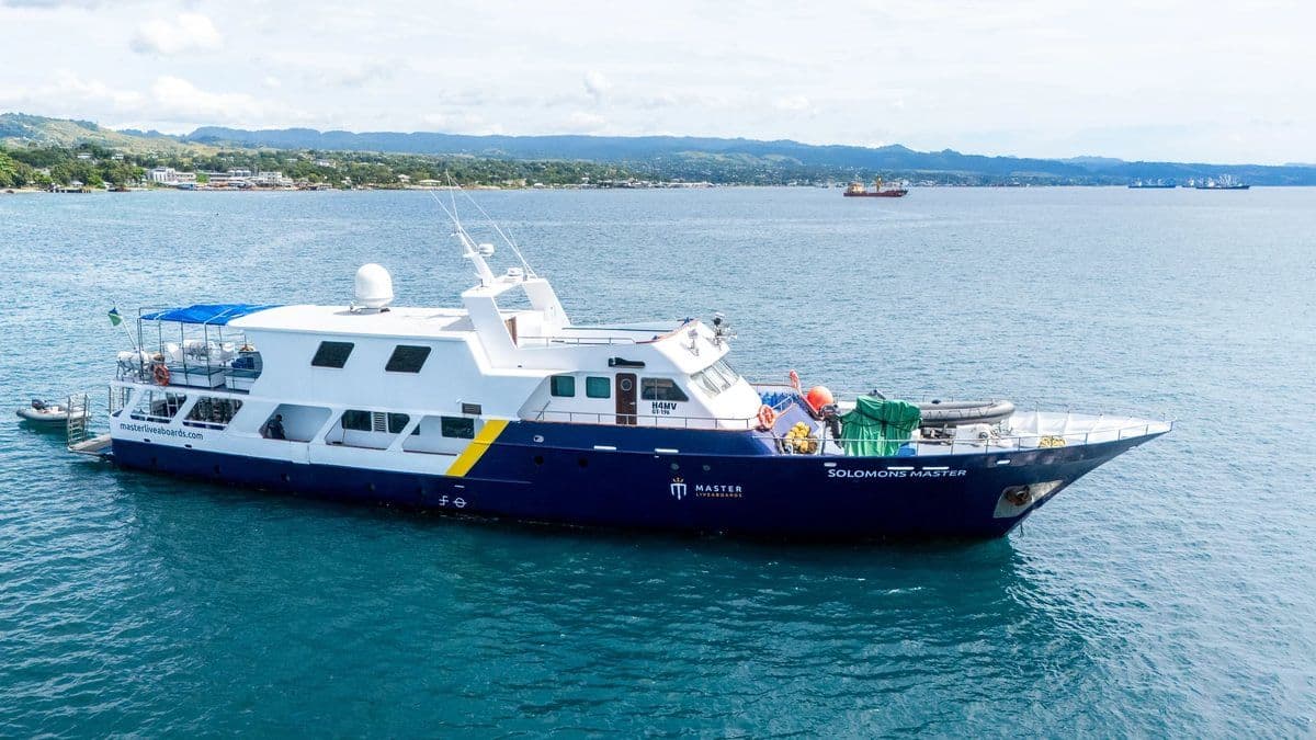 Solomons Master Solomons Master