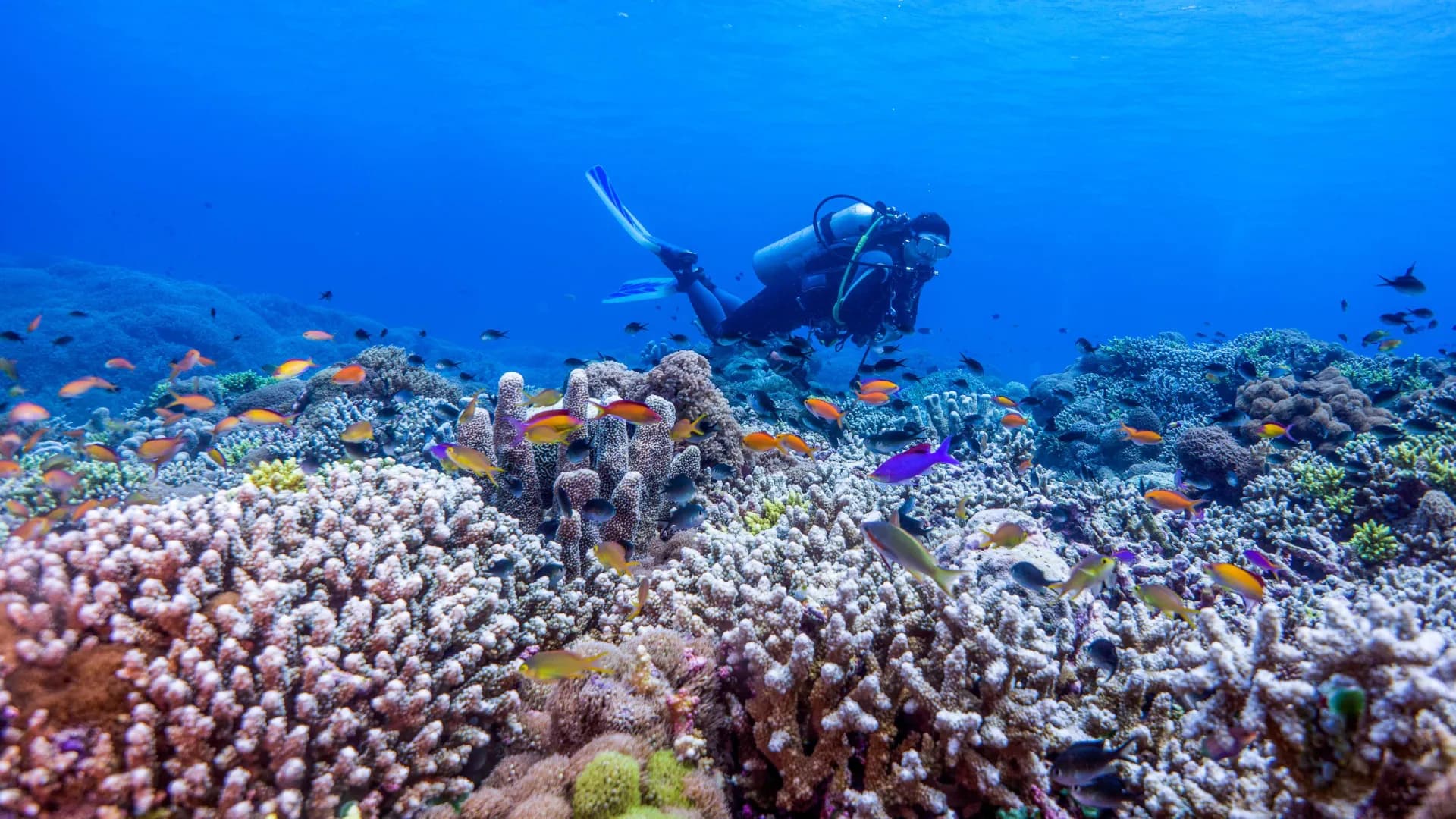 Caribbean Destinations Caribbean Destinations