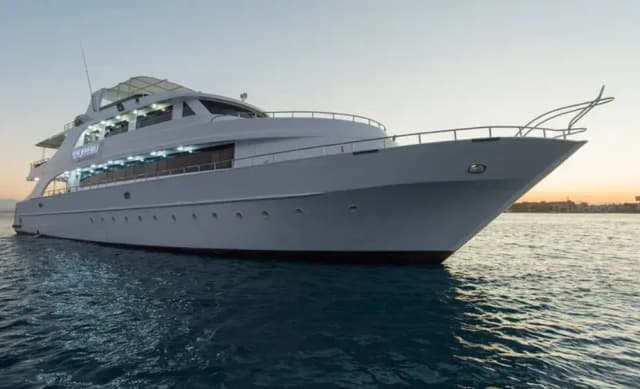 Discovery II Special Packages 2025 Discovery II Special Packages 2025