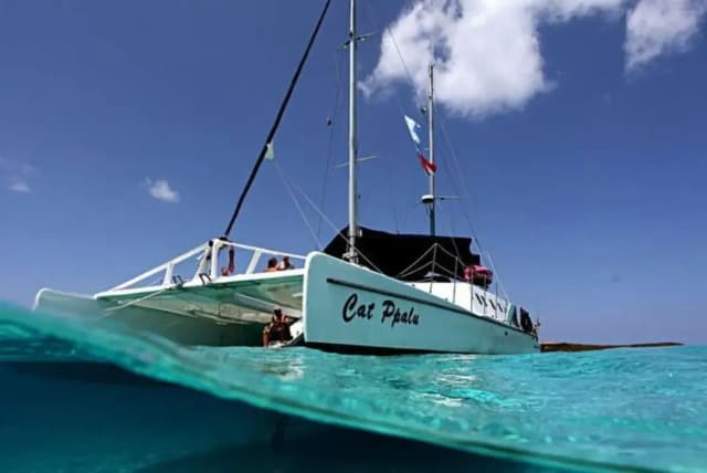 Cat Ppalu Special Packages Cat Ppalu Special Packages