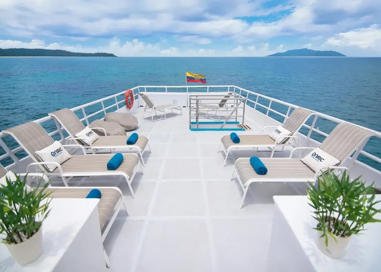 Carousel - image Carousel - image