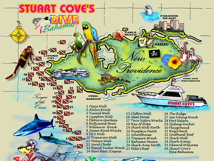 Stuart Cove's Dive Bahamas