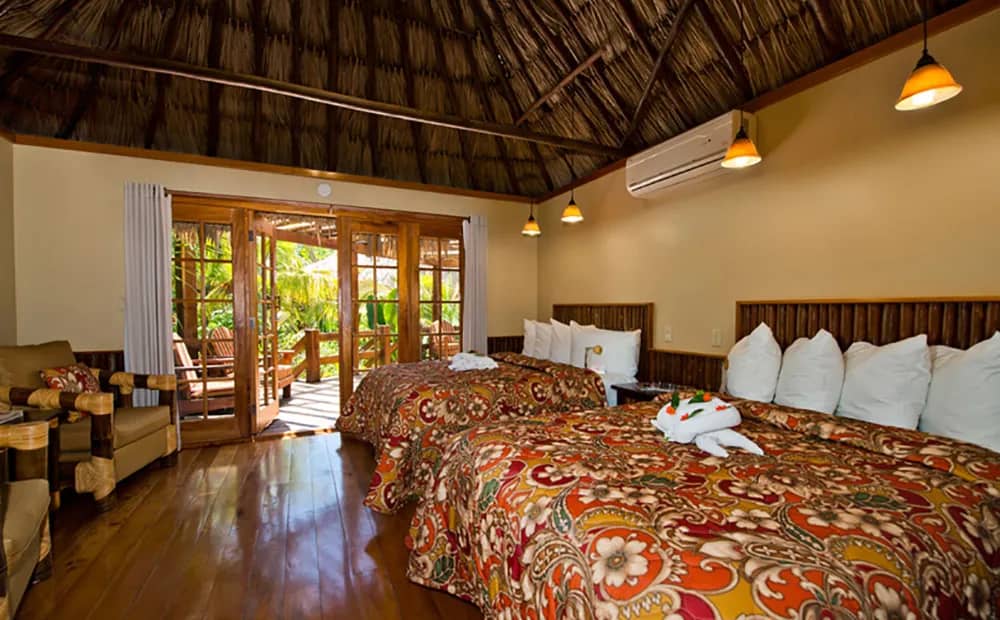 Jungle Deluxe - image Jungle Deluxe - image