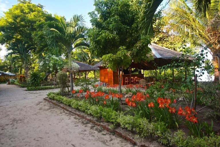 Two Fish Divers Bunaken Two Fish Divers Bunaken