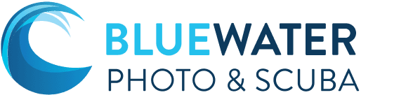 BlueWater Photo and Suba BlueWater Photo and Suba