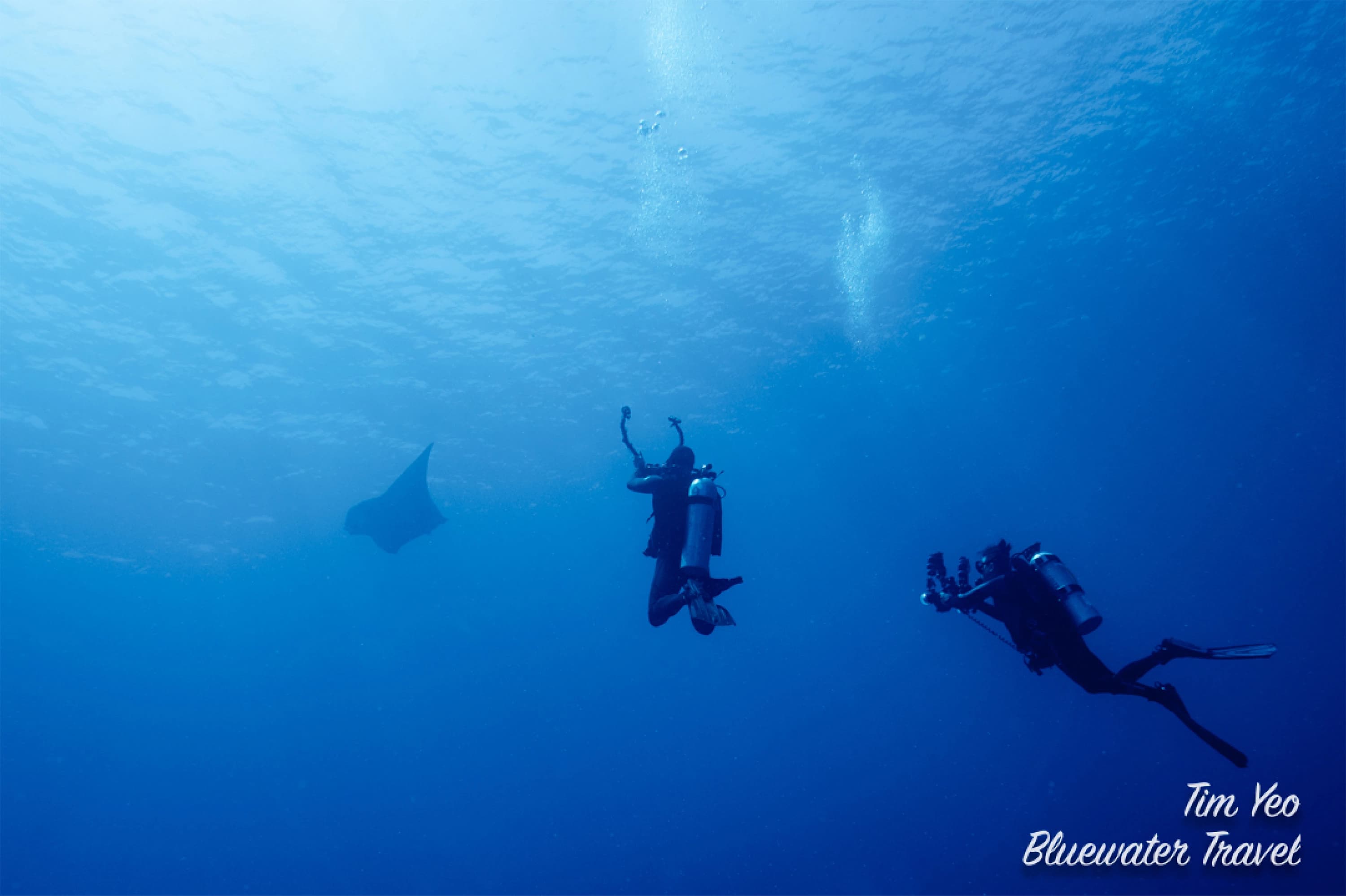 Underwater view of a reef Underwater view of a reef