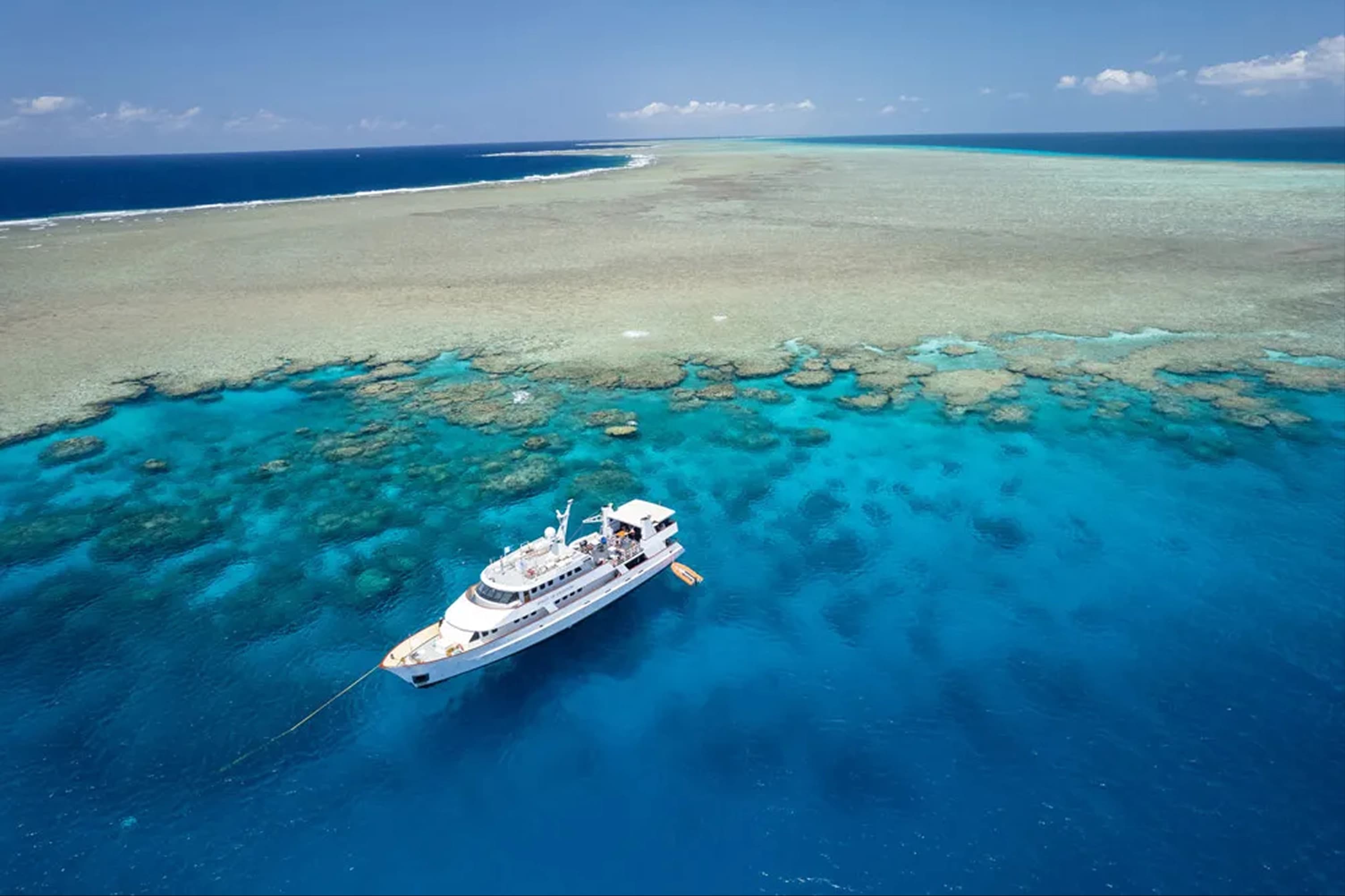 All Liveaboards Worldwide - image All Liveaboards Worldwide - image