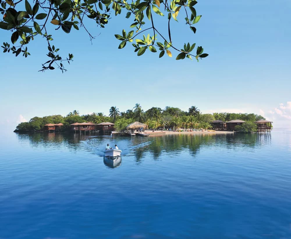 No alternative text provided No alternative text provided