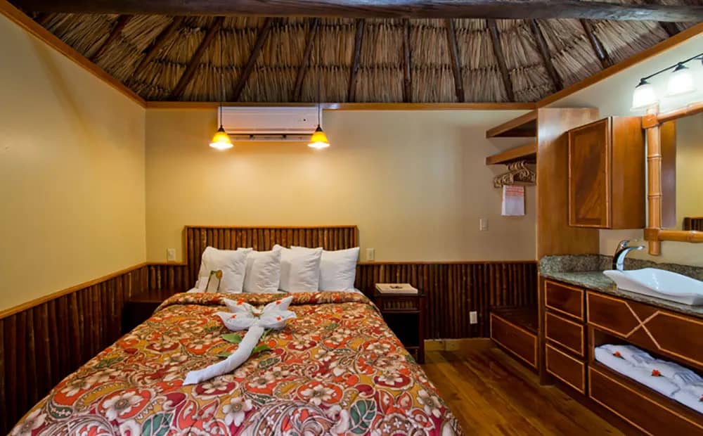 Jungle Mini - image Jungle Mini - image