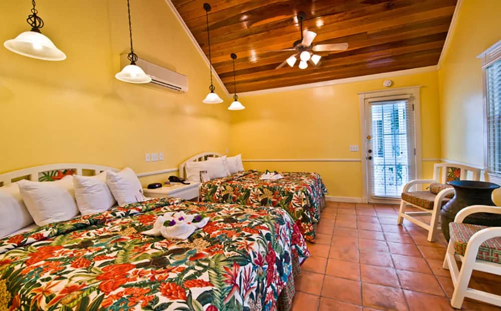 Steve & Becky's - image Steve & Becky's - image