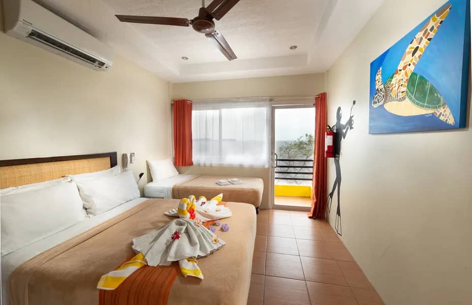 Sea View Superior Rooms - image Sea View Superior Rooms - image