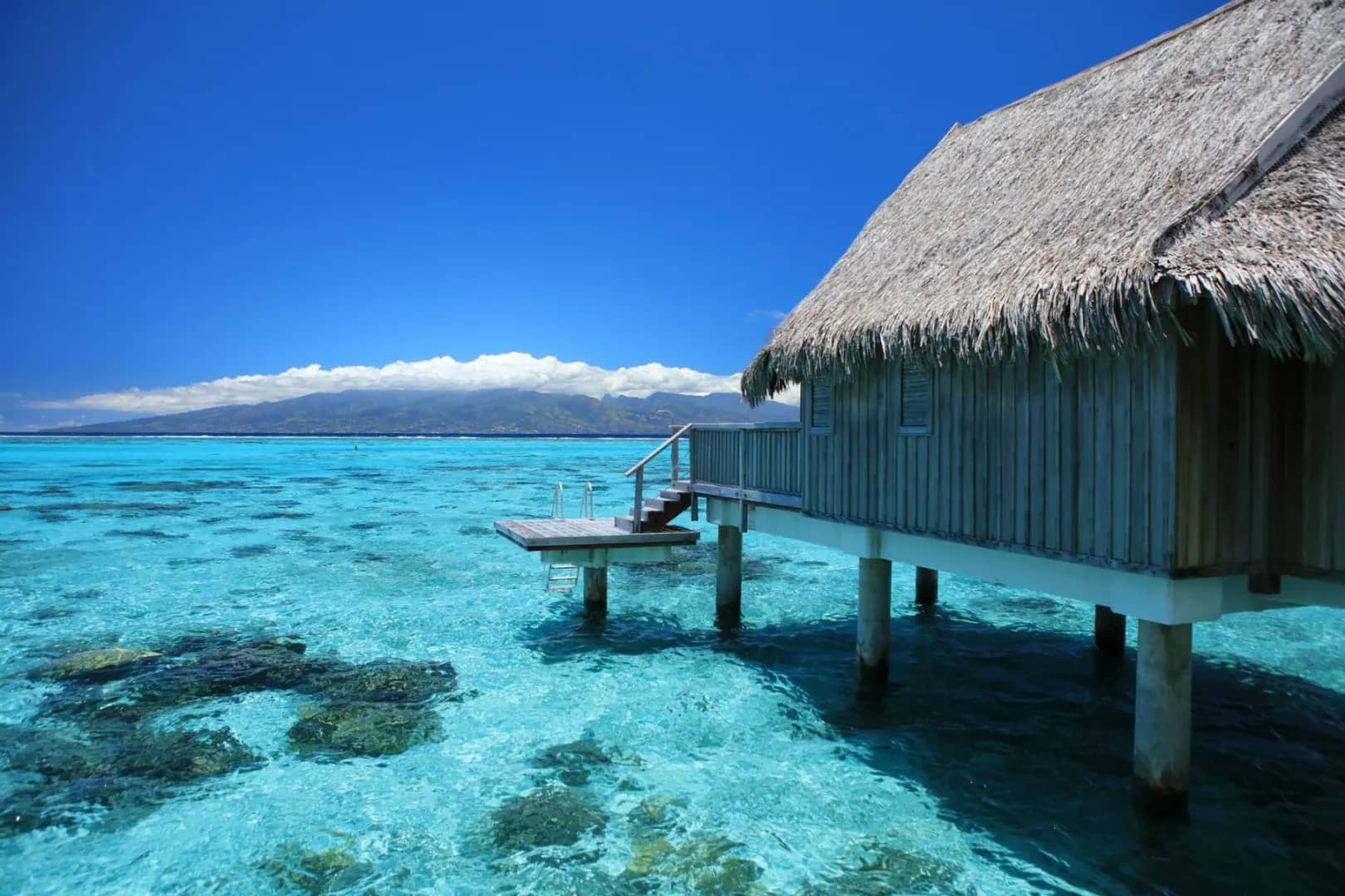 Luxury Horizon Overwater - image Luxury Horizon Overwater - image