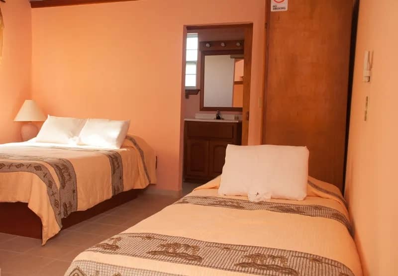 Natika - image Natika - image