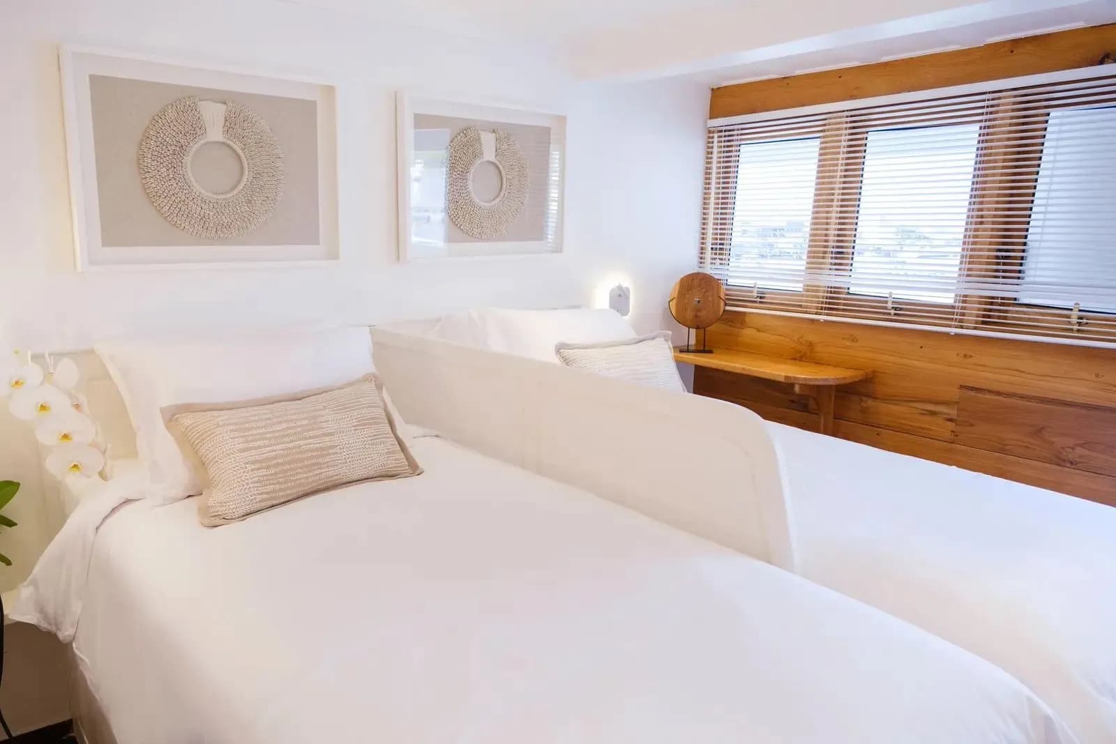 Oceanview Cabin with Window - image Oceanview Cabin with Window - image