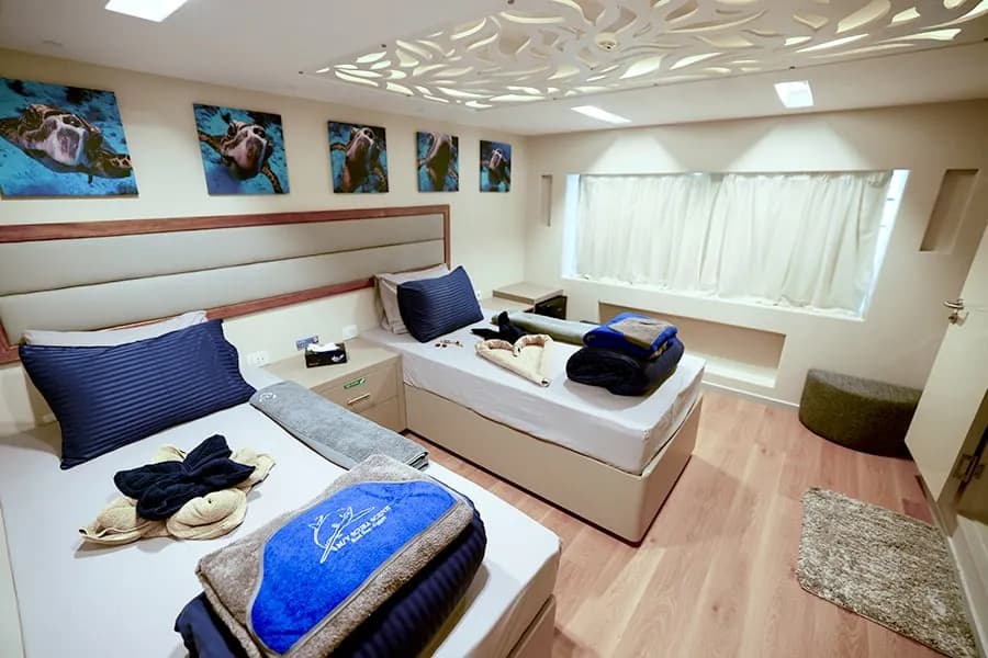 Twin Main Deck - image Twin Main Deck - image